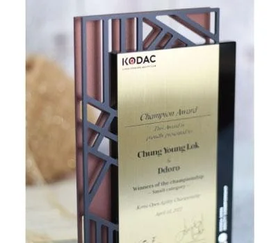 판촉물 상패/휘장, 브랜드 가치를 높이는 디자인 전략