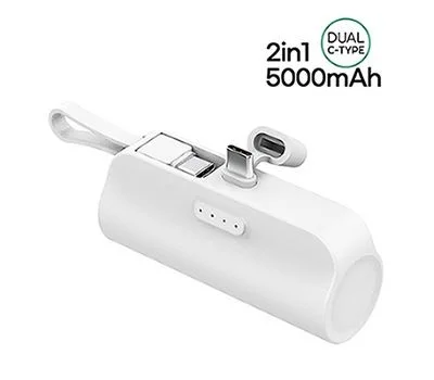 컴우드 2WAY 5000mAh 듀얼 C타입 도킹배터리